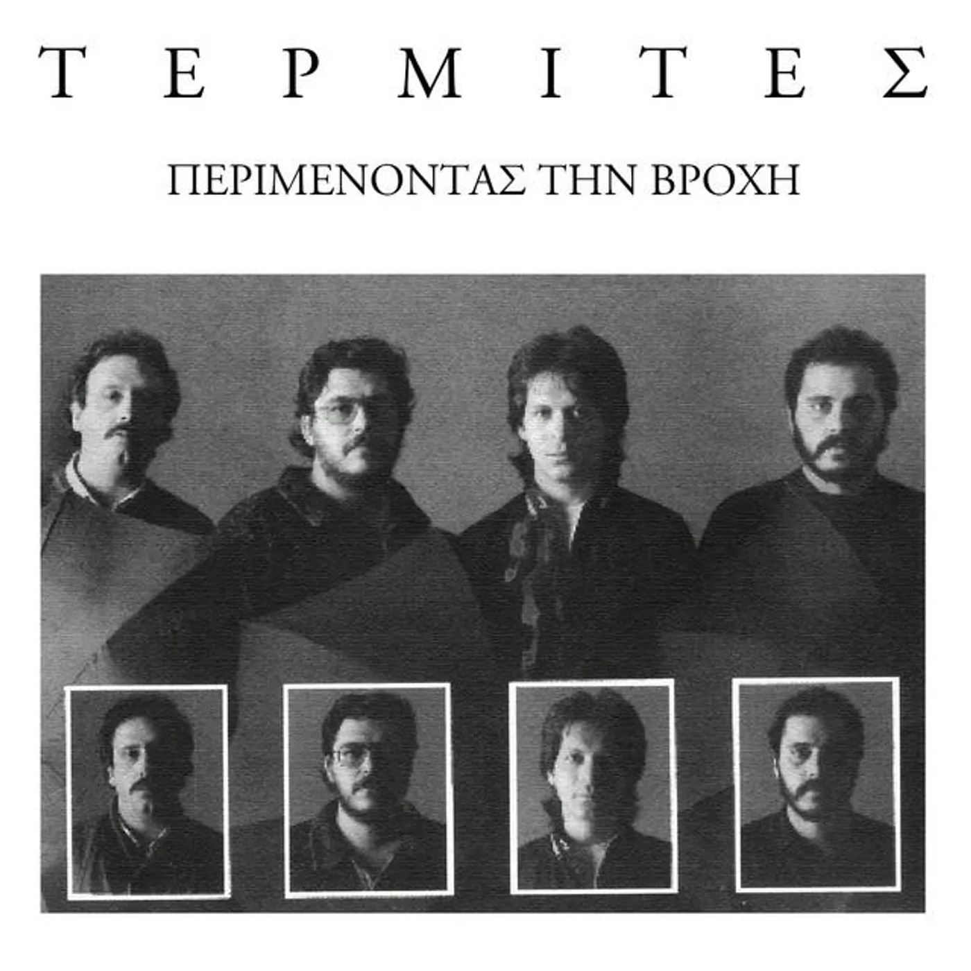 Termites