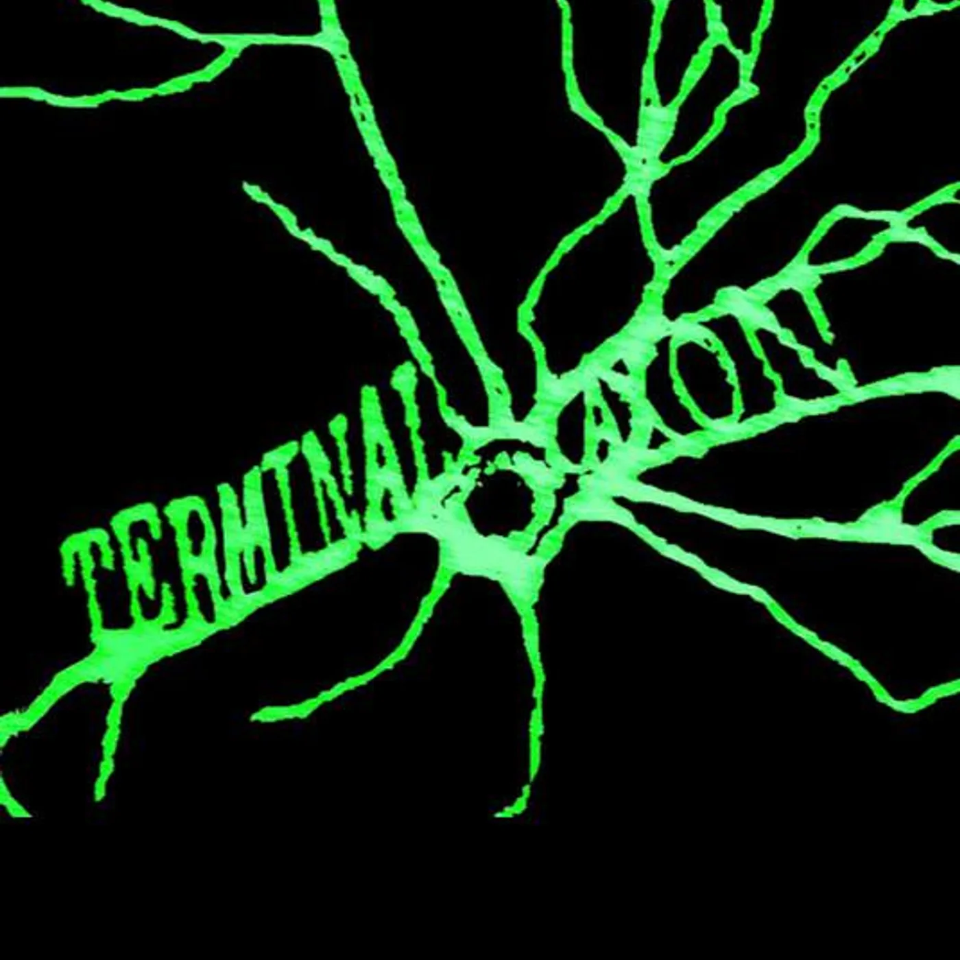Terminal Axon Brand Page