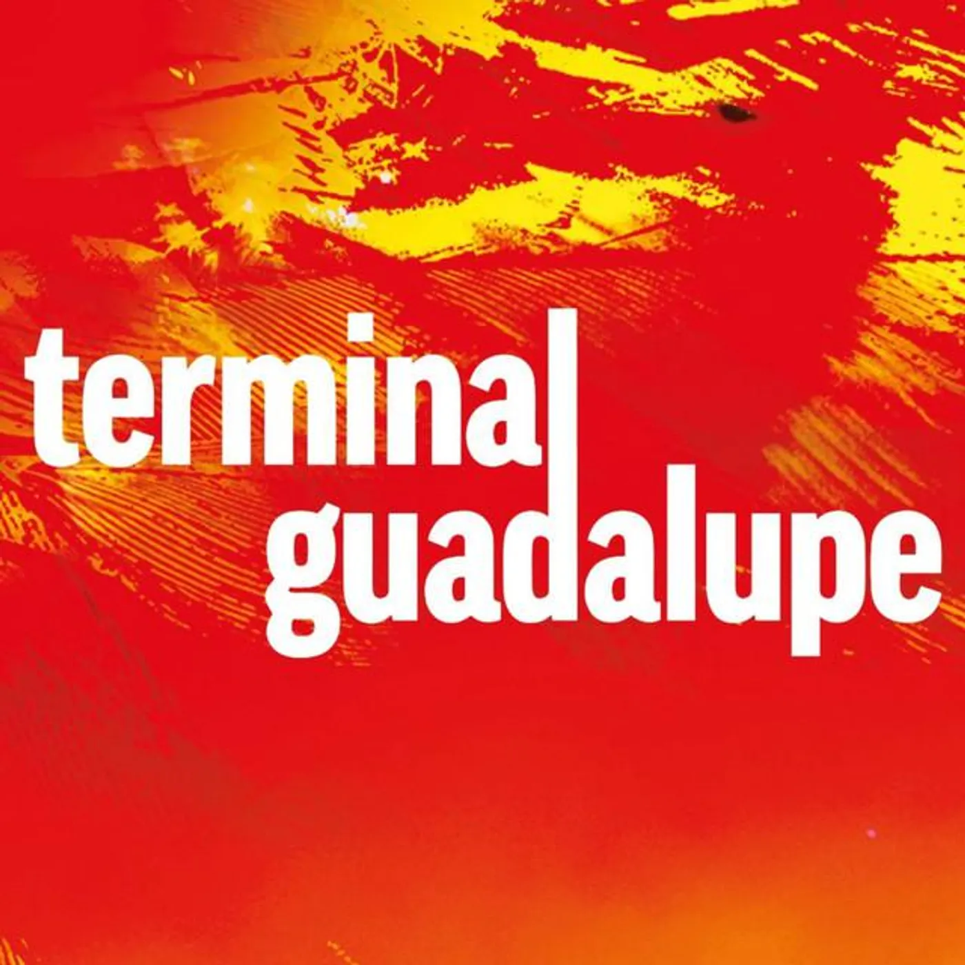 Terminal Guadalupe Brand Page