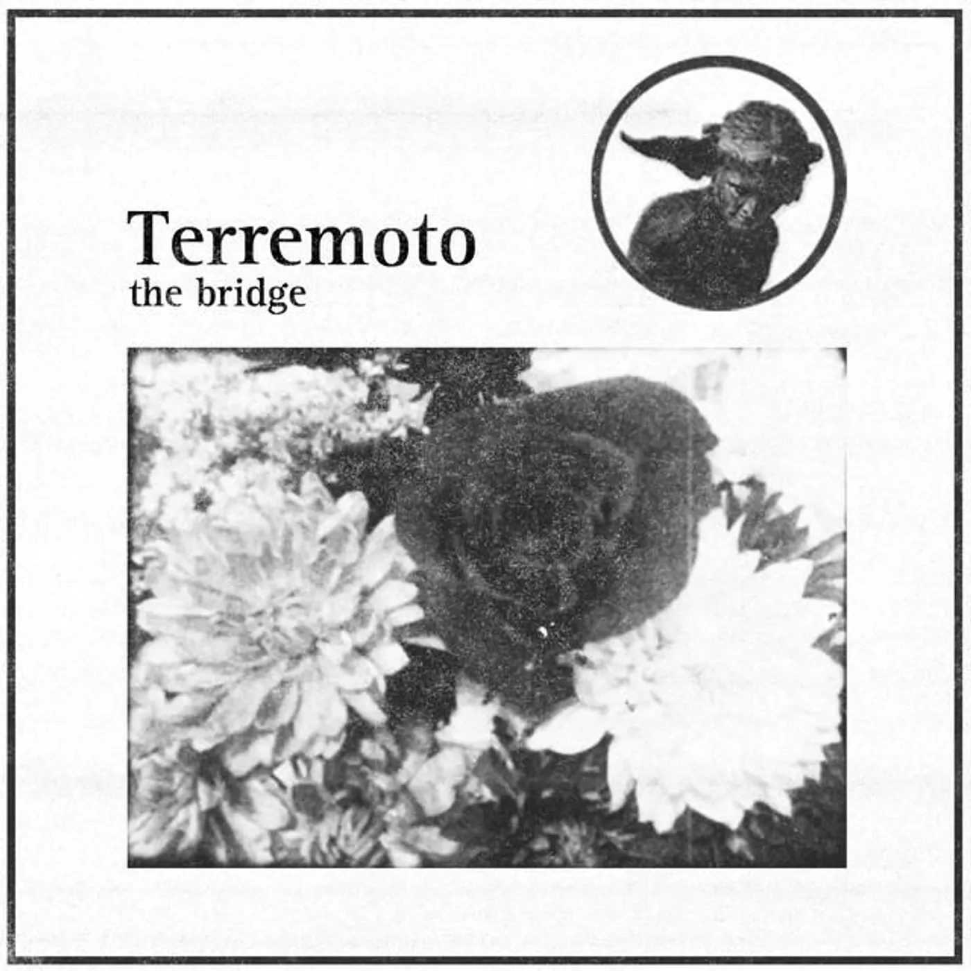 Terremoto