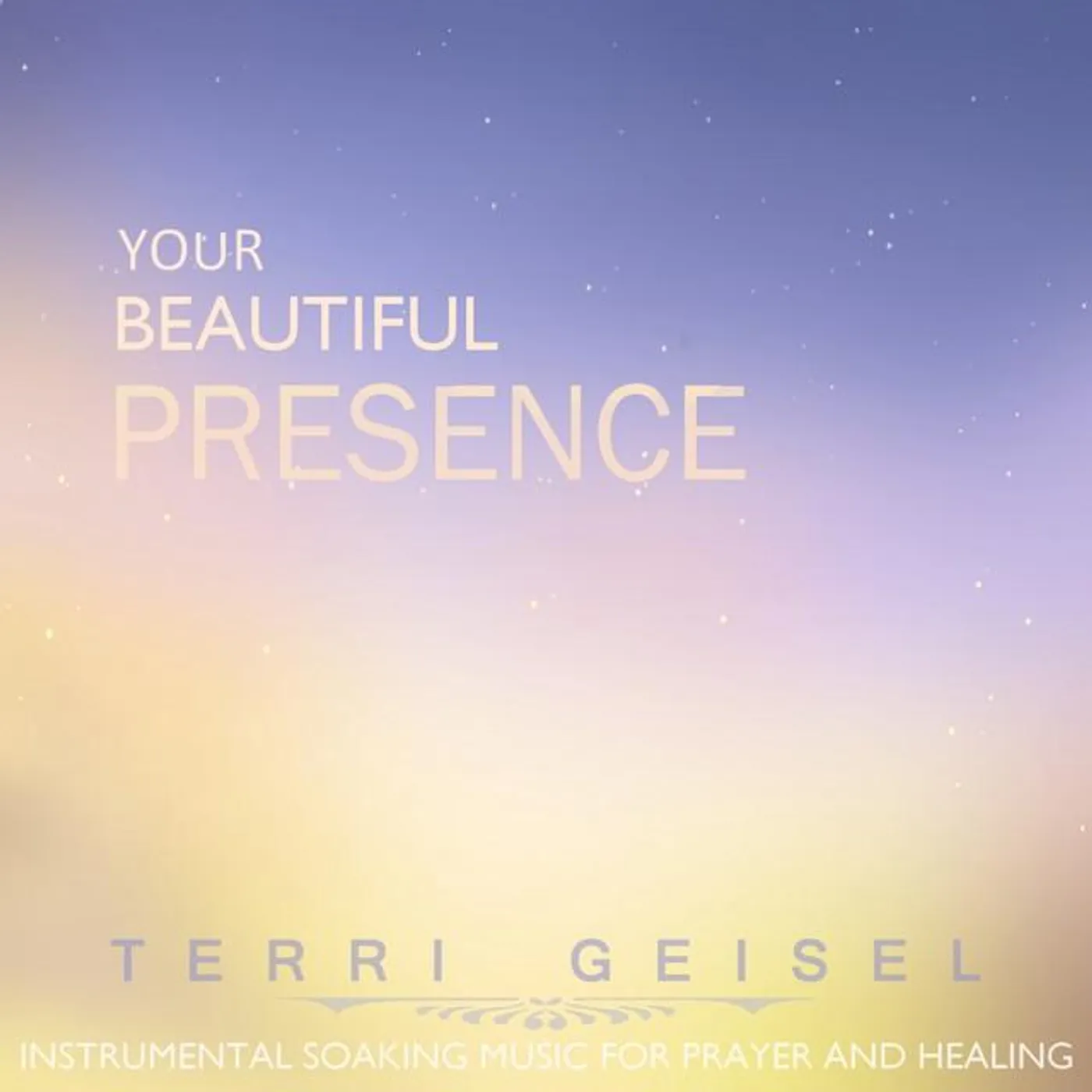 Terri Geisel Brand Page