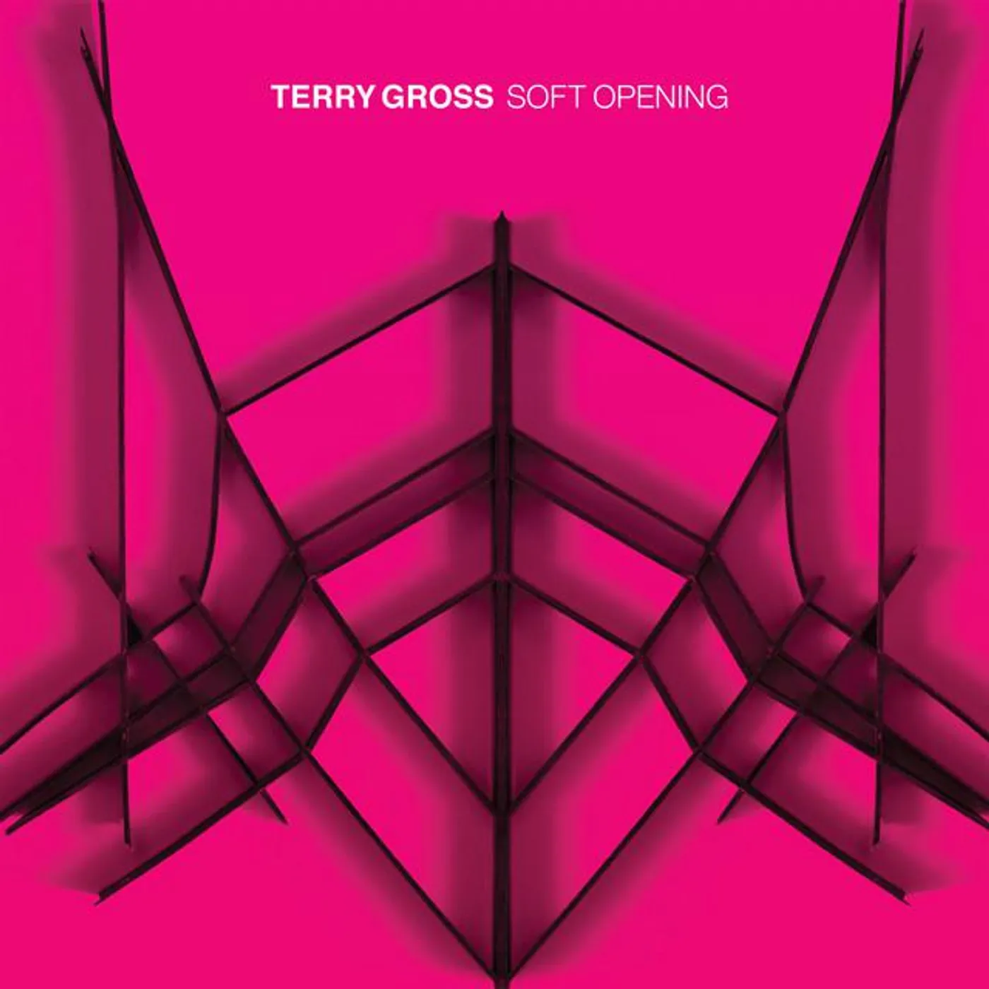 Terry Gross