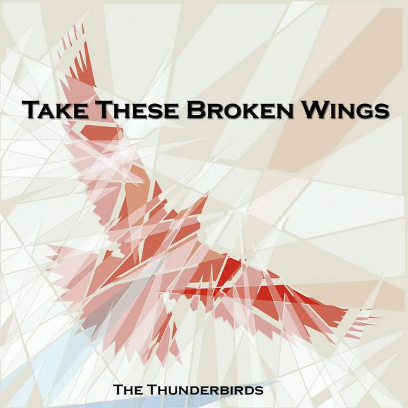 The Thunderbirds Brand Page