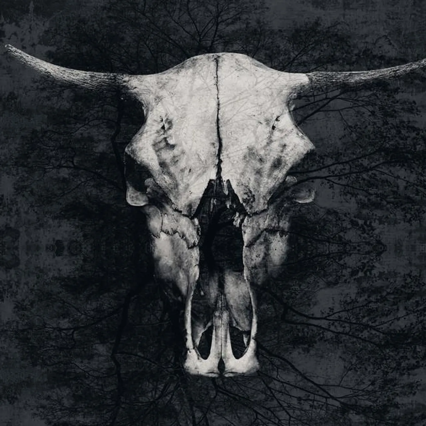 Thundering Herd