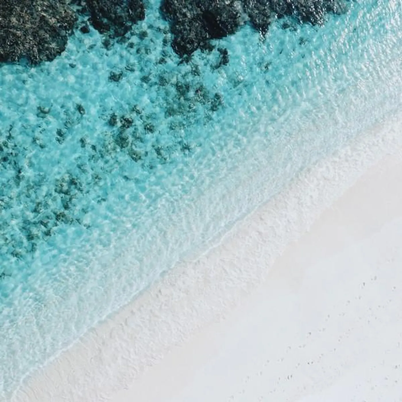 Thasha Eno Brand Page