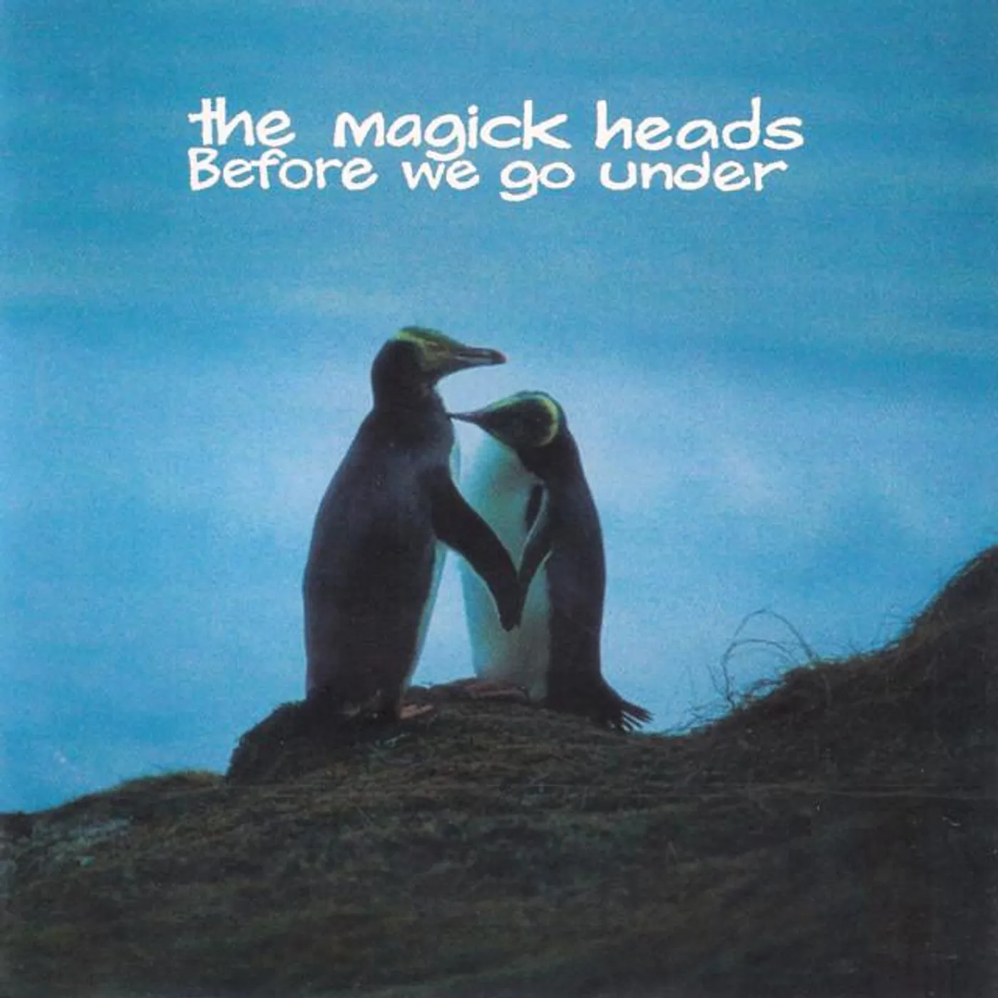 The Magick Heads