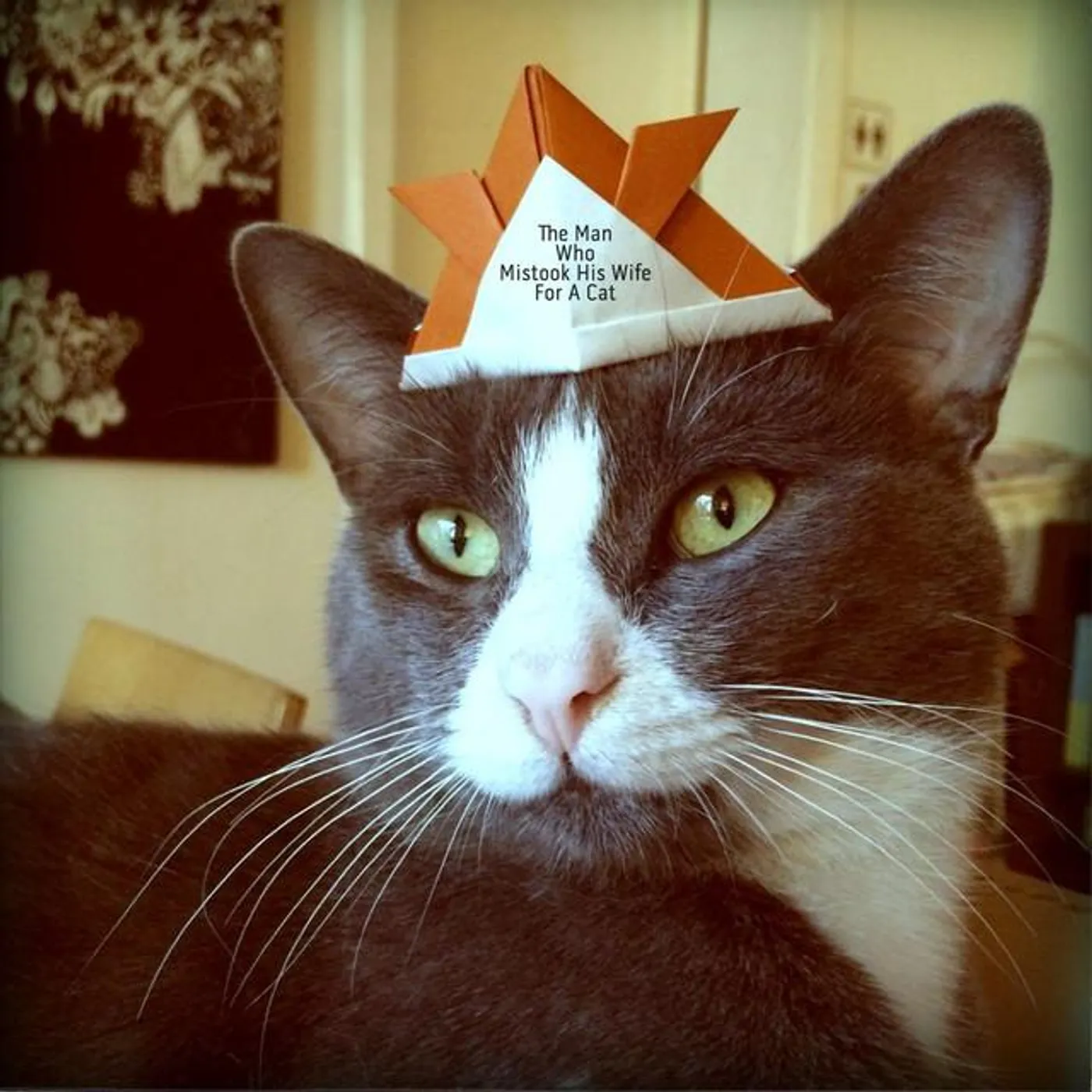 The Man Who Mistook His Wife For A Cat