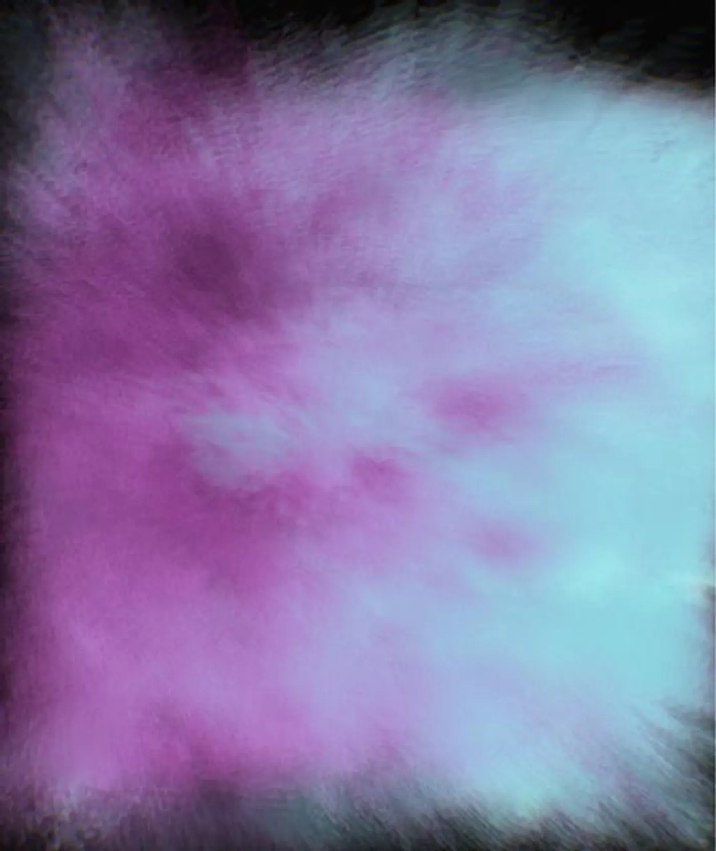 The Microgram