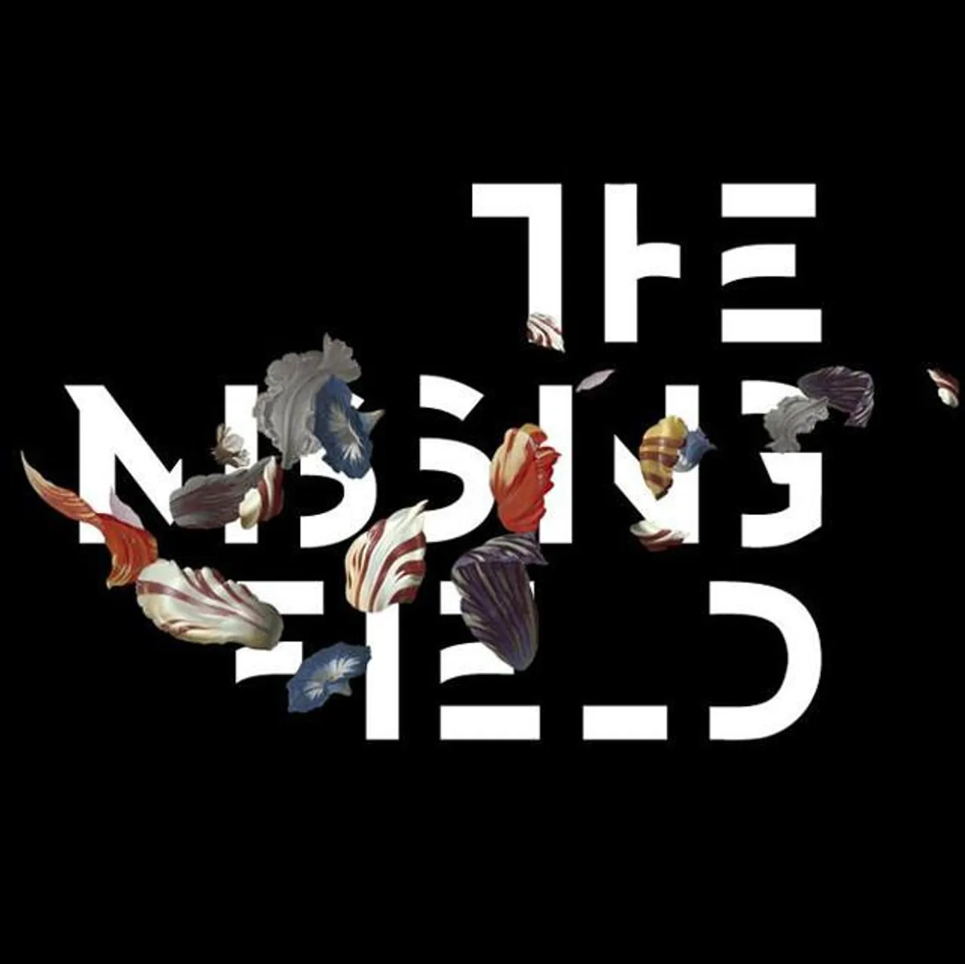 The Missing Field