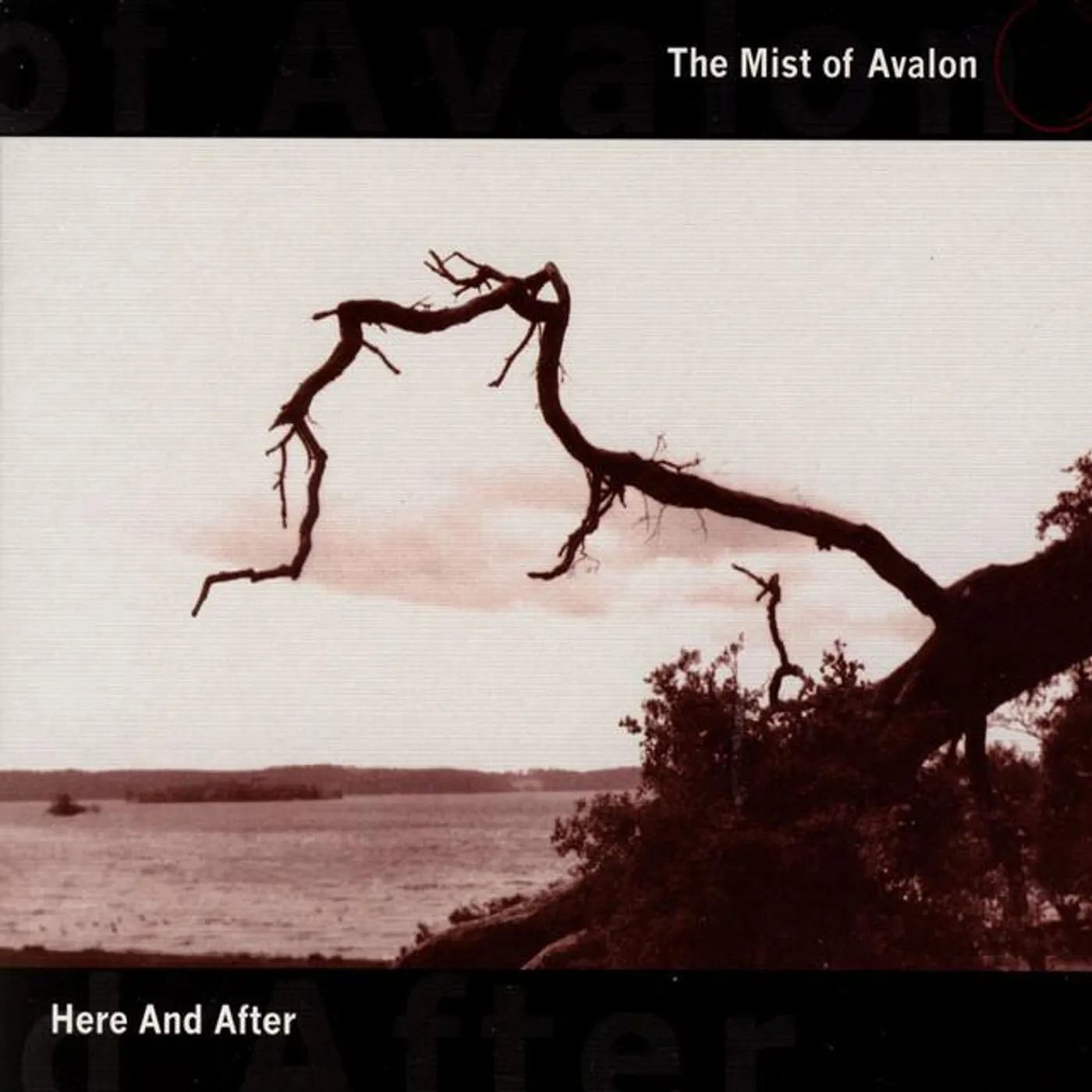 The Mist Of Avalon