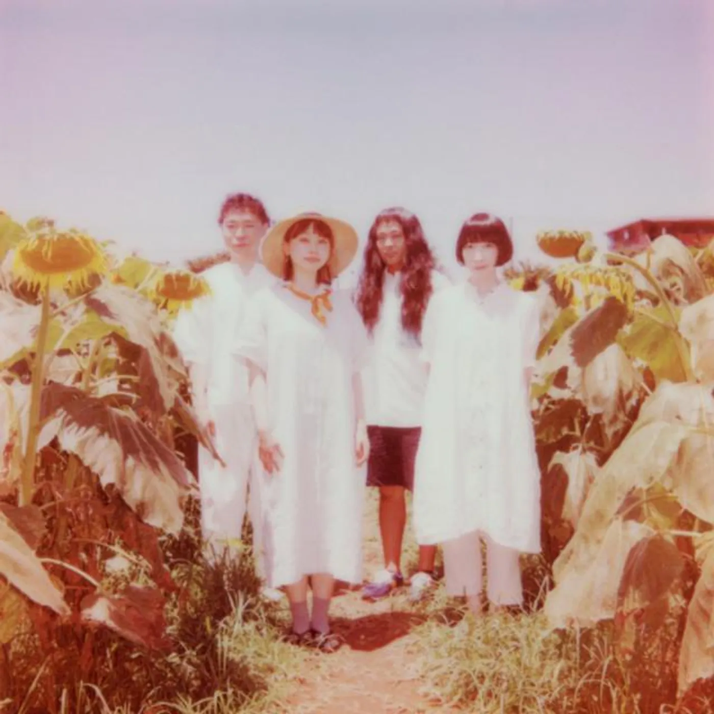 The Natsuyasumi Band