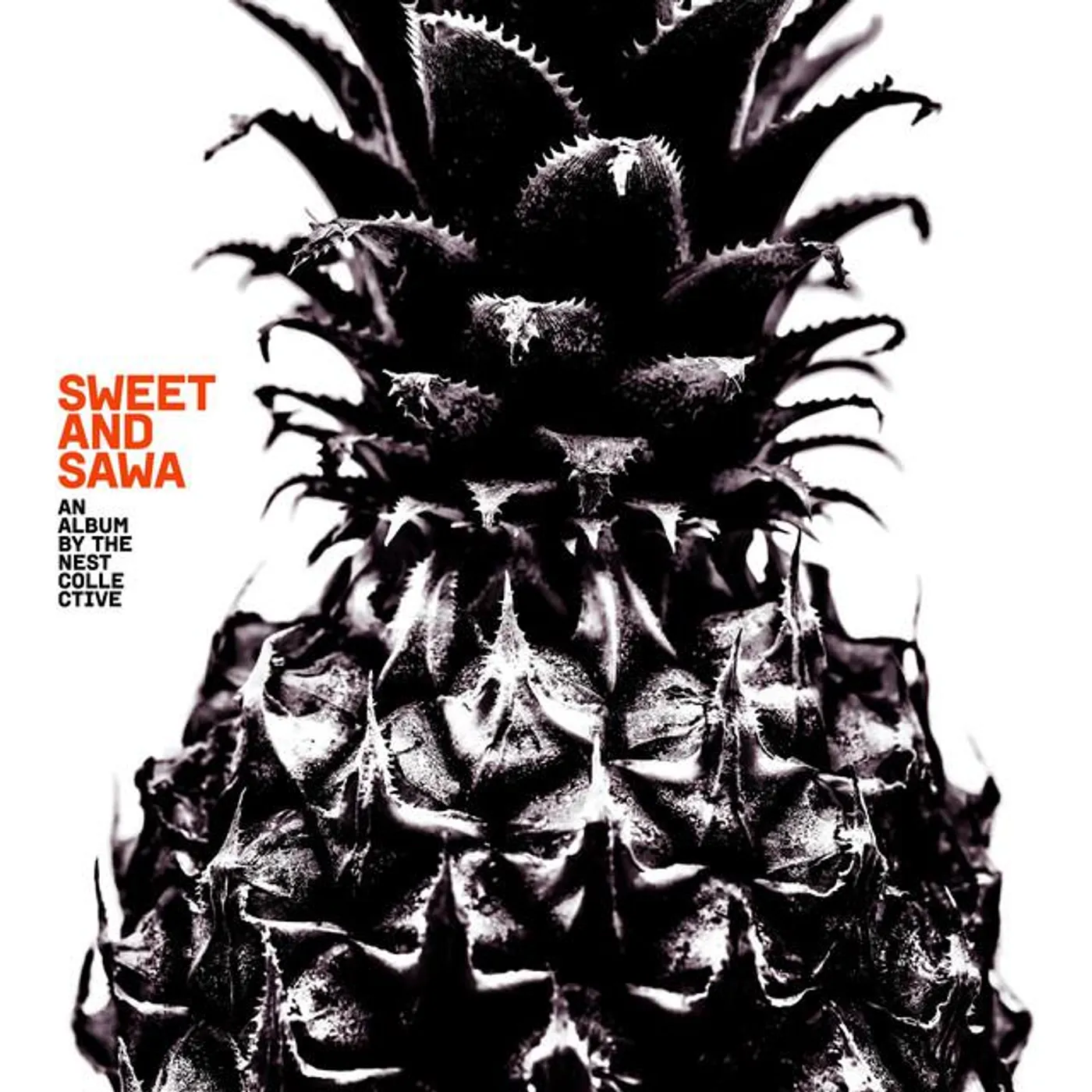 The Nest Collective