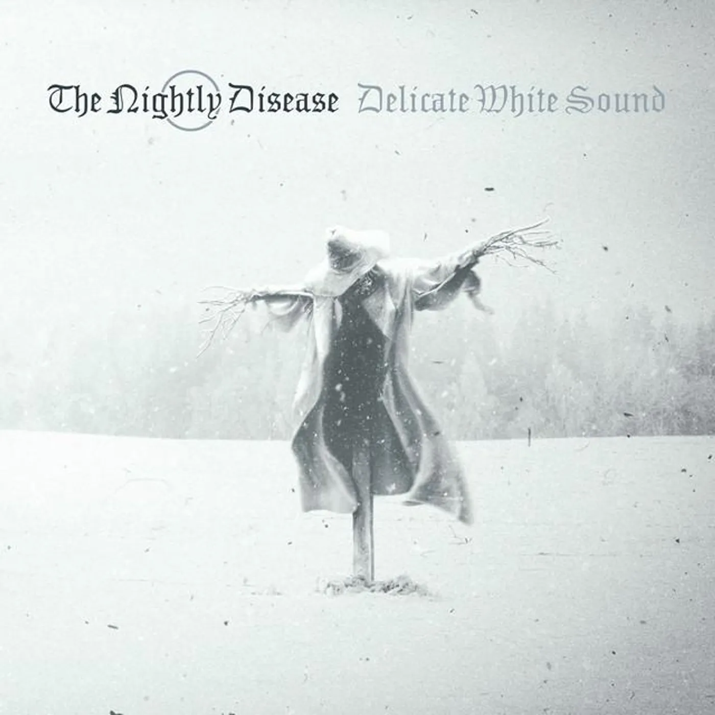 The Nightly Disease