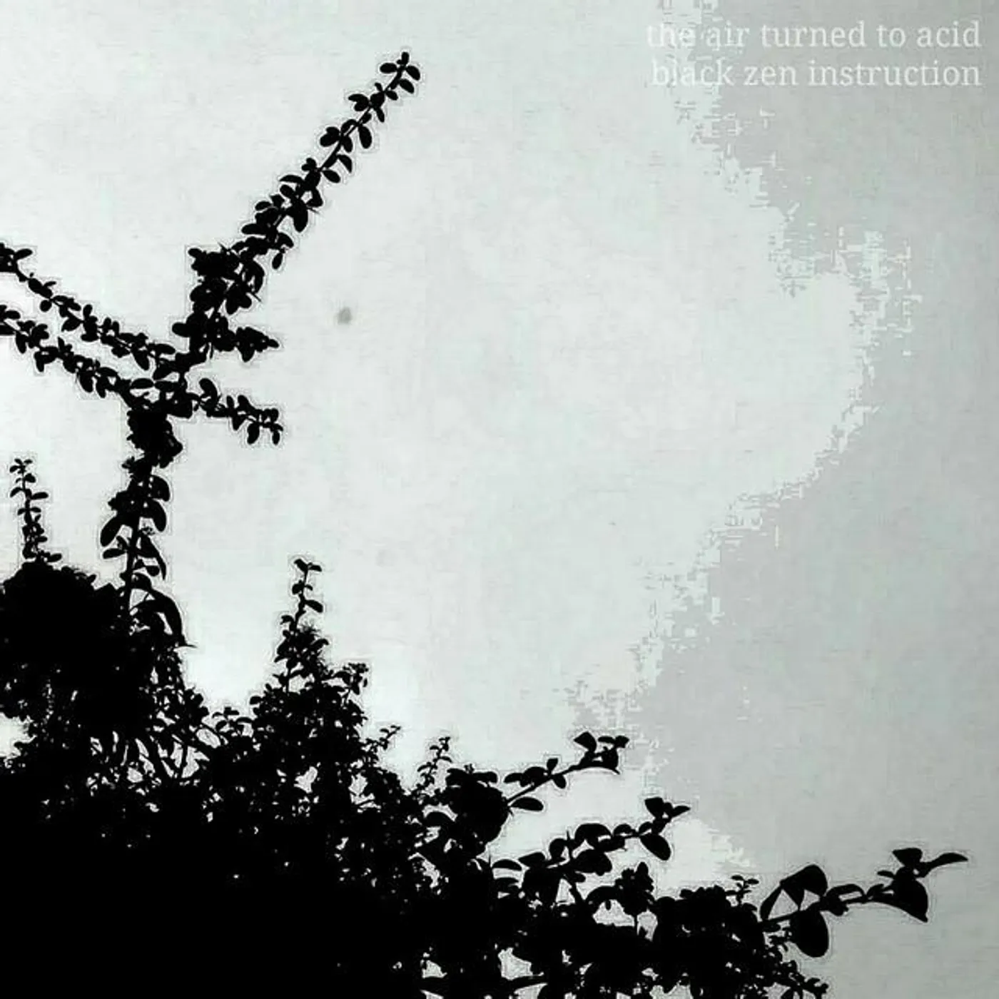 The Air Turned To Acid
