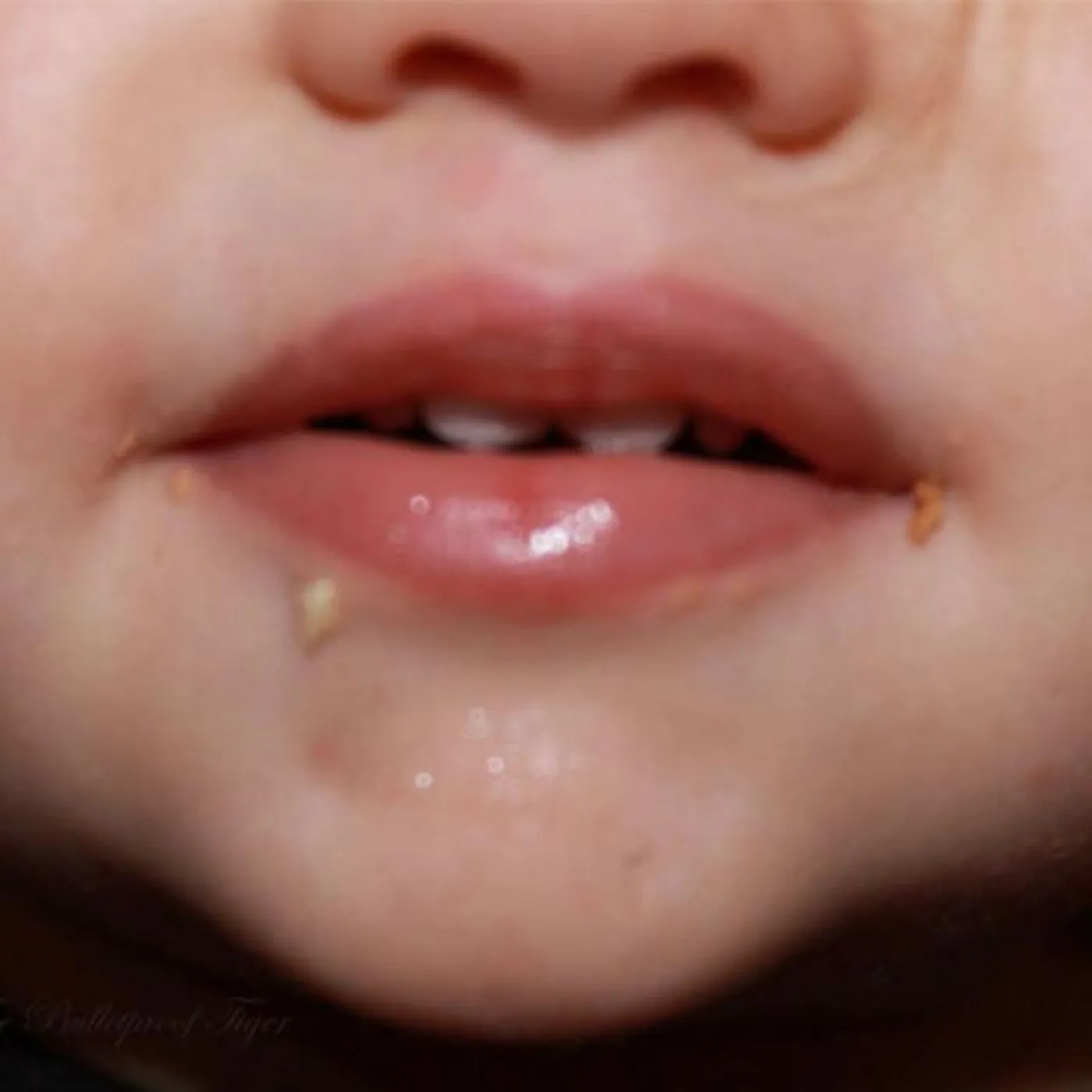 The Bulletproof Tiger