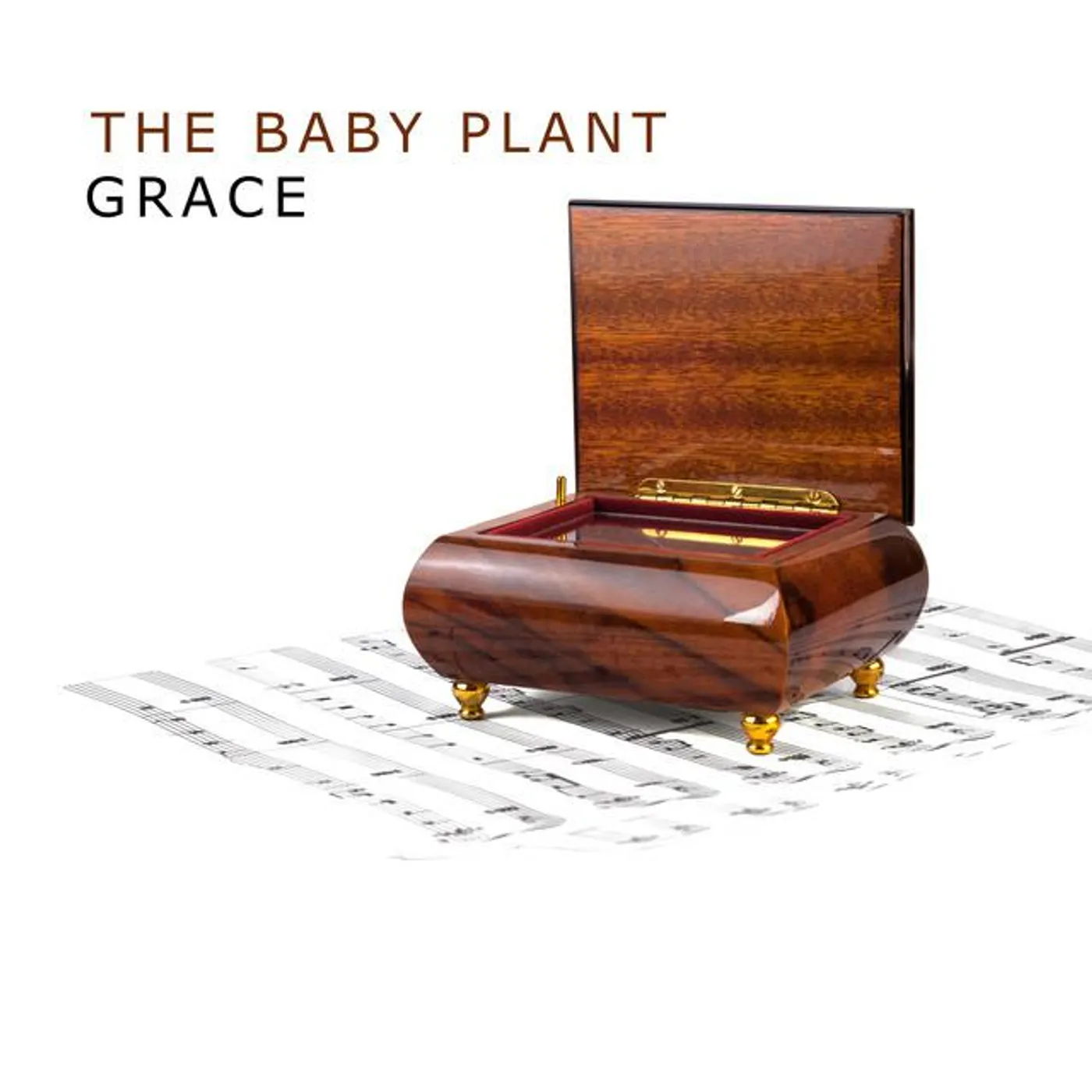 The Baby Plant