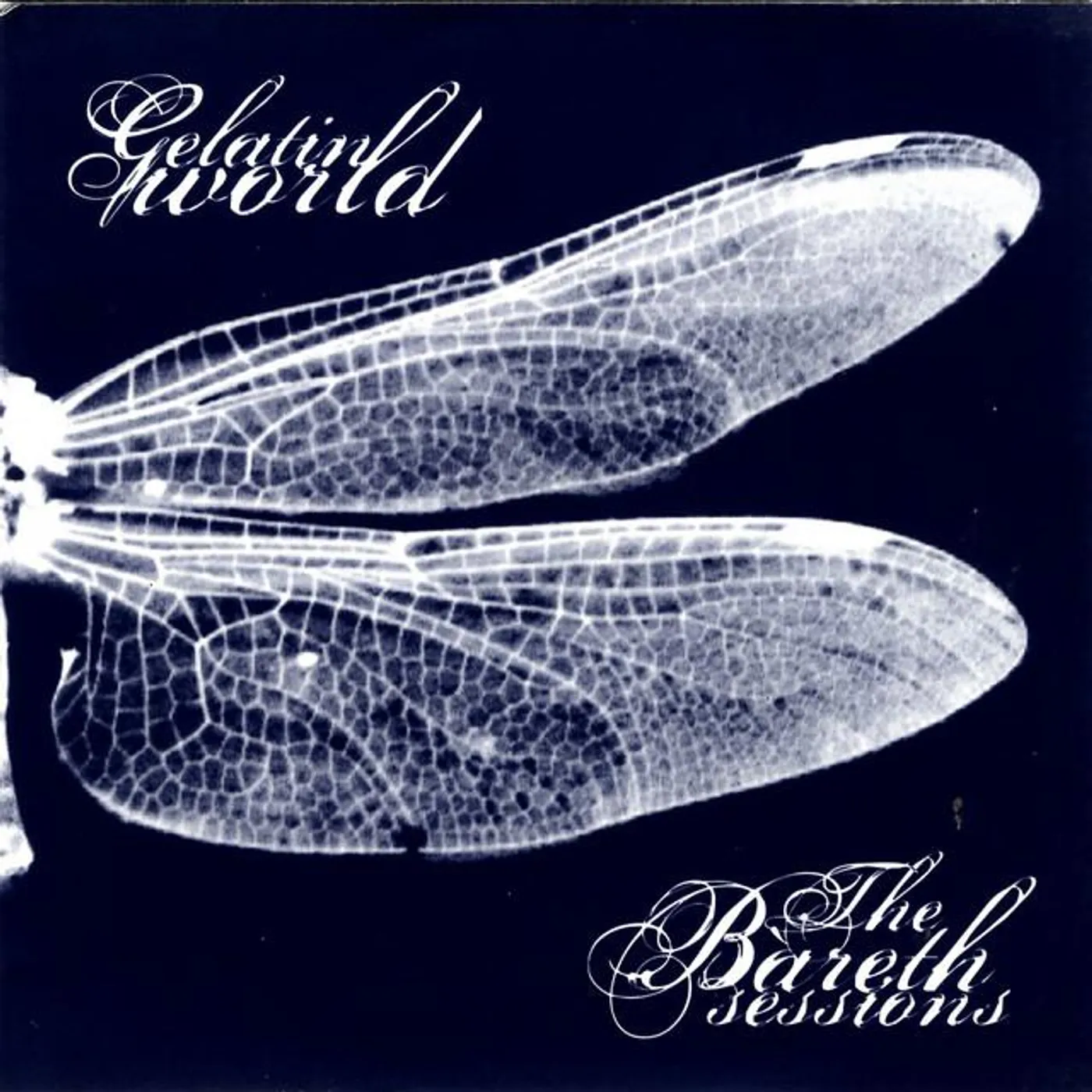 The Bareth Sessions
