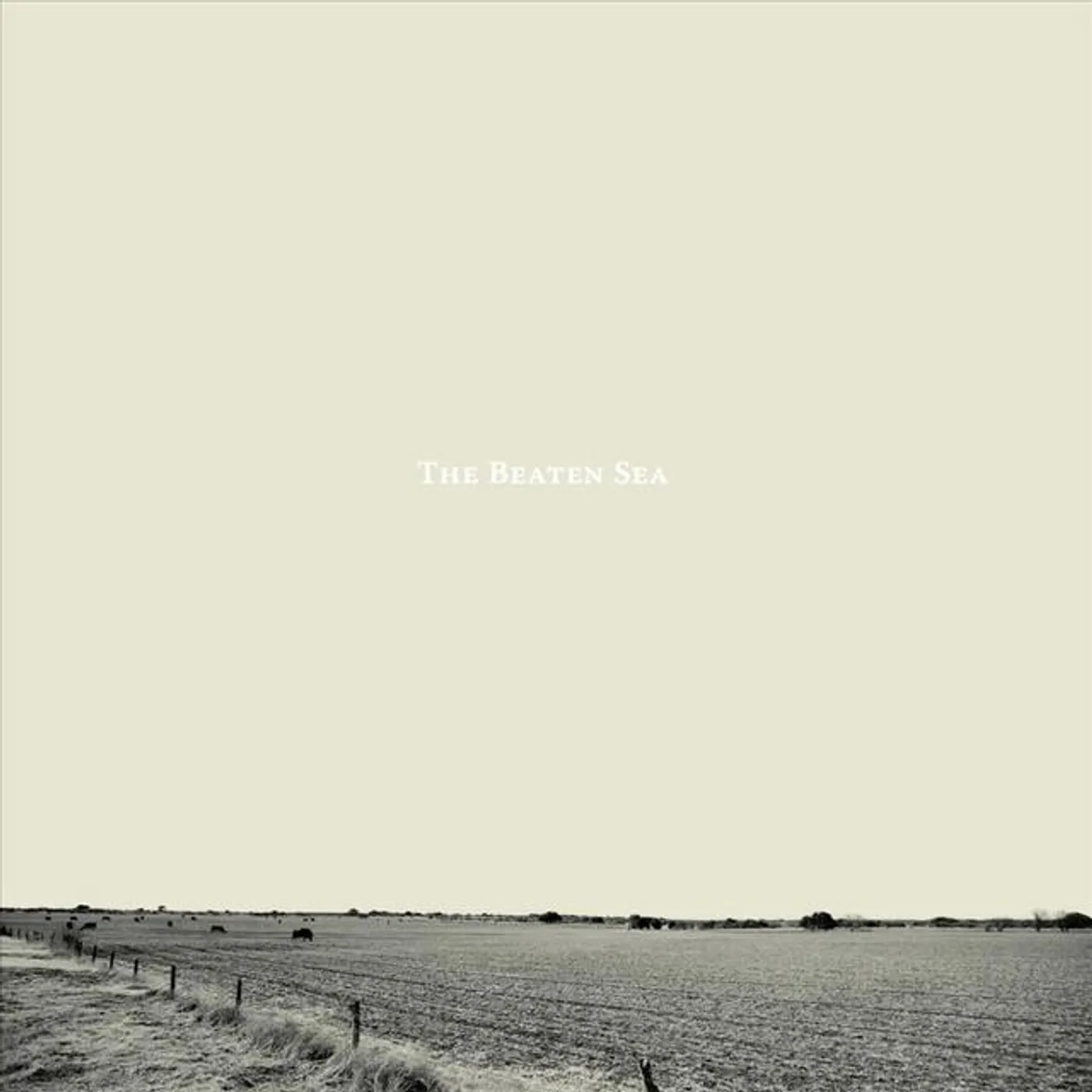 The Beaten Sea