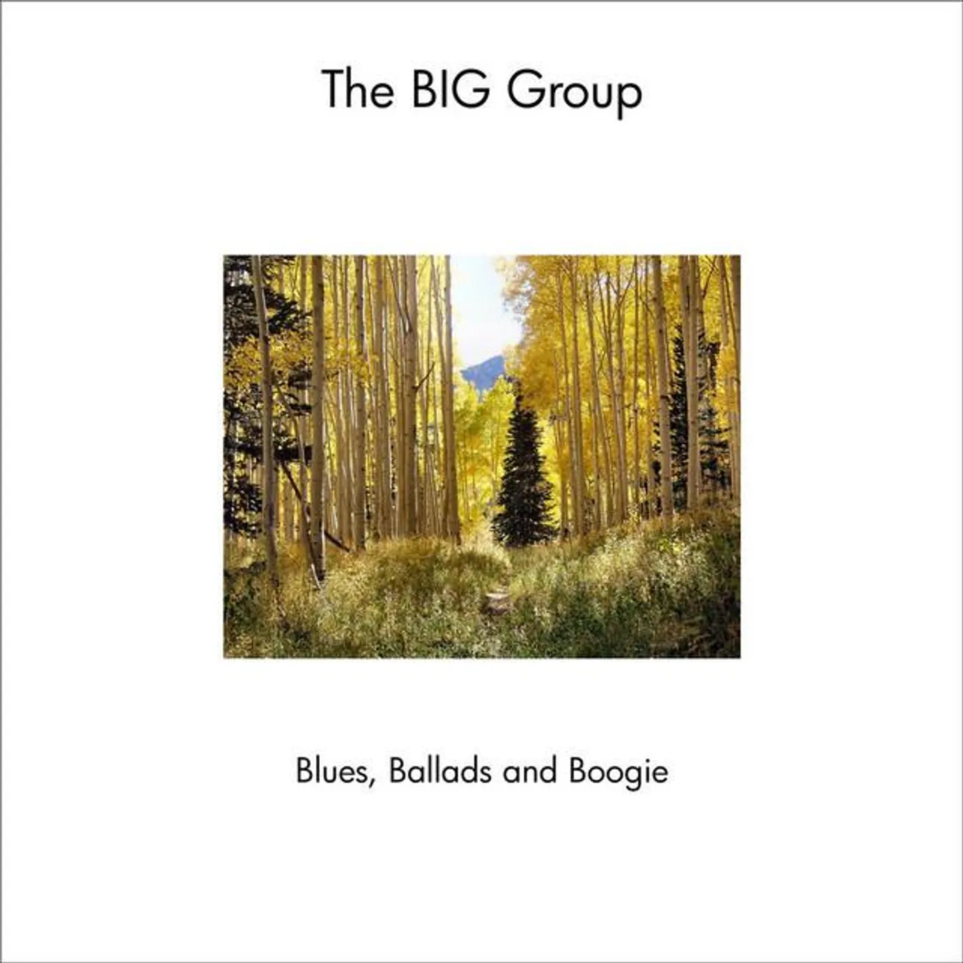 The Big Group Brand Page