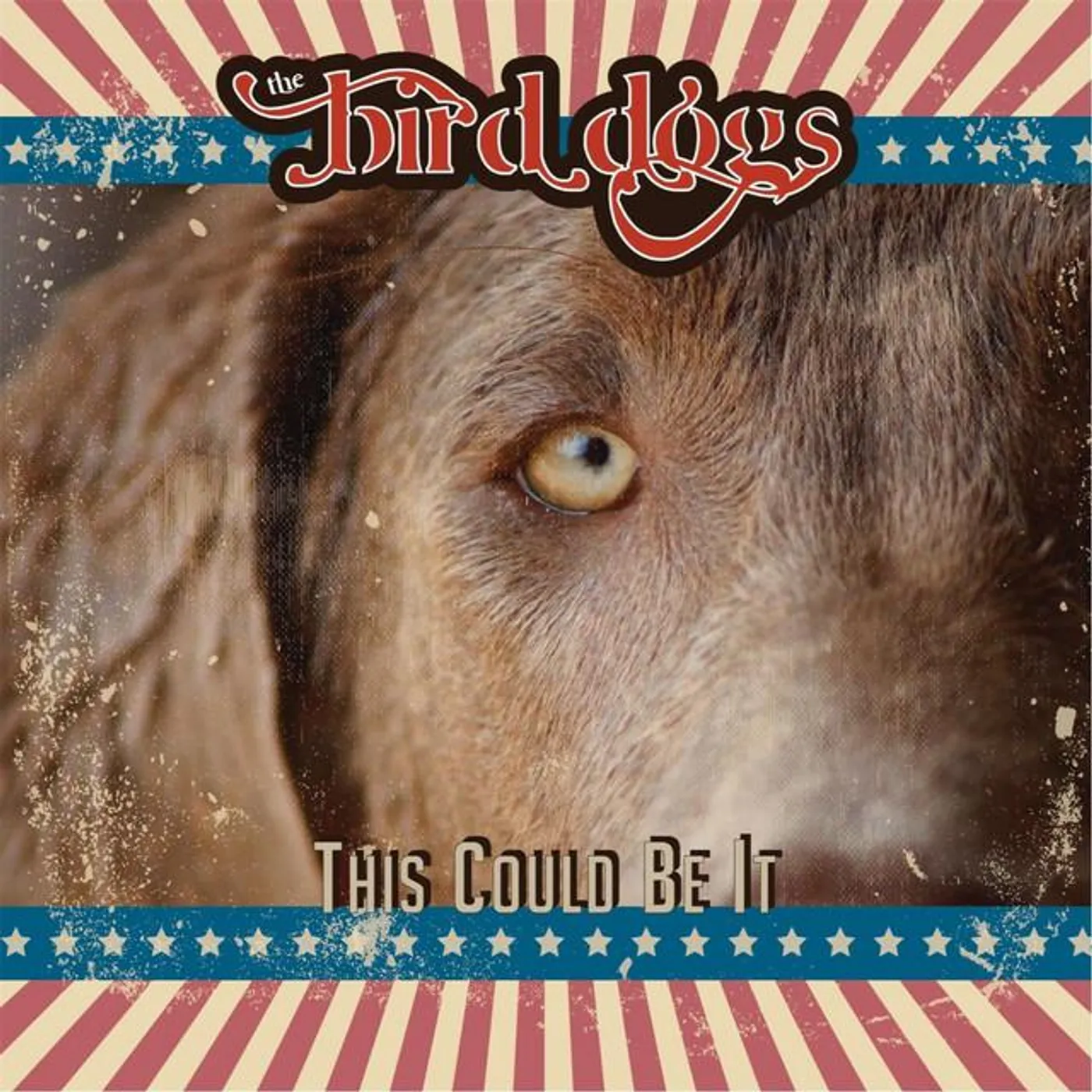 The Bird Dogs