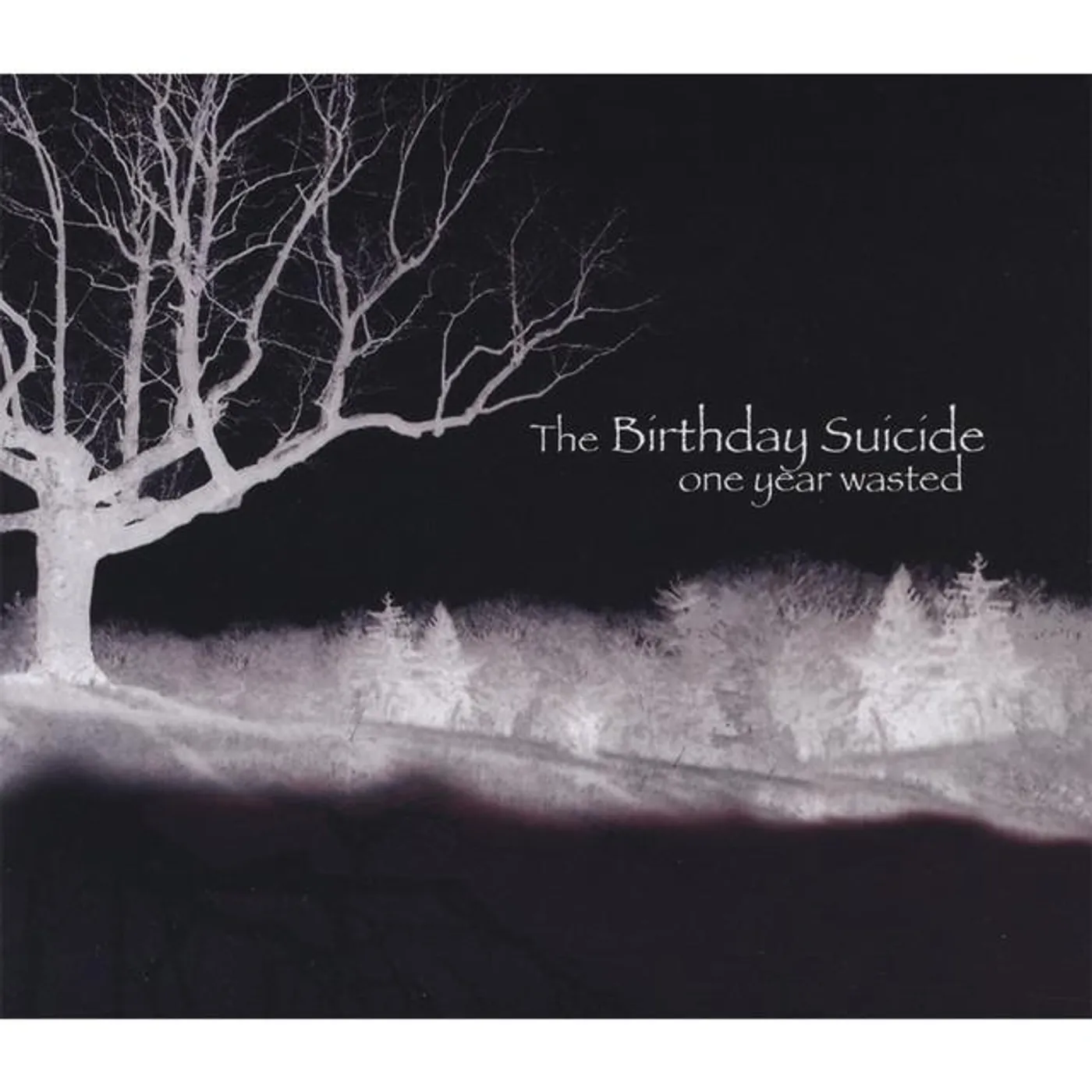 The Birthday Suicide Brand Page