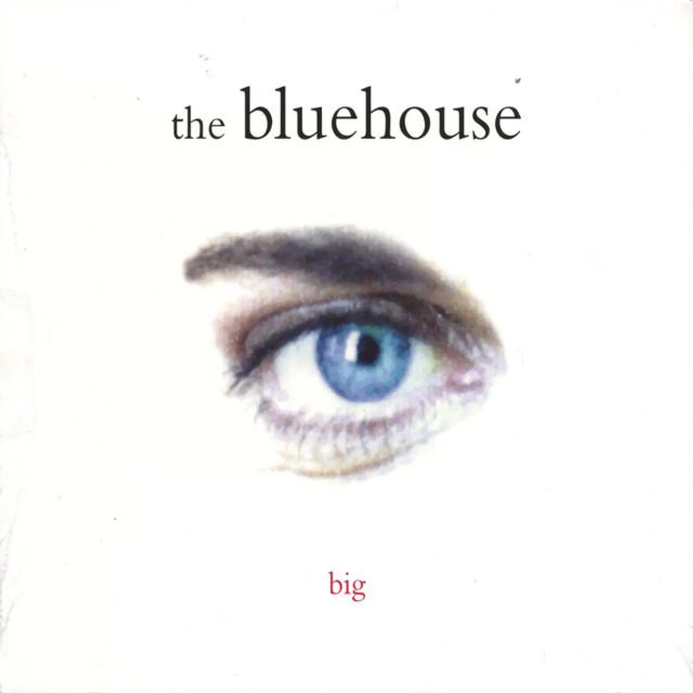 the bluehouse