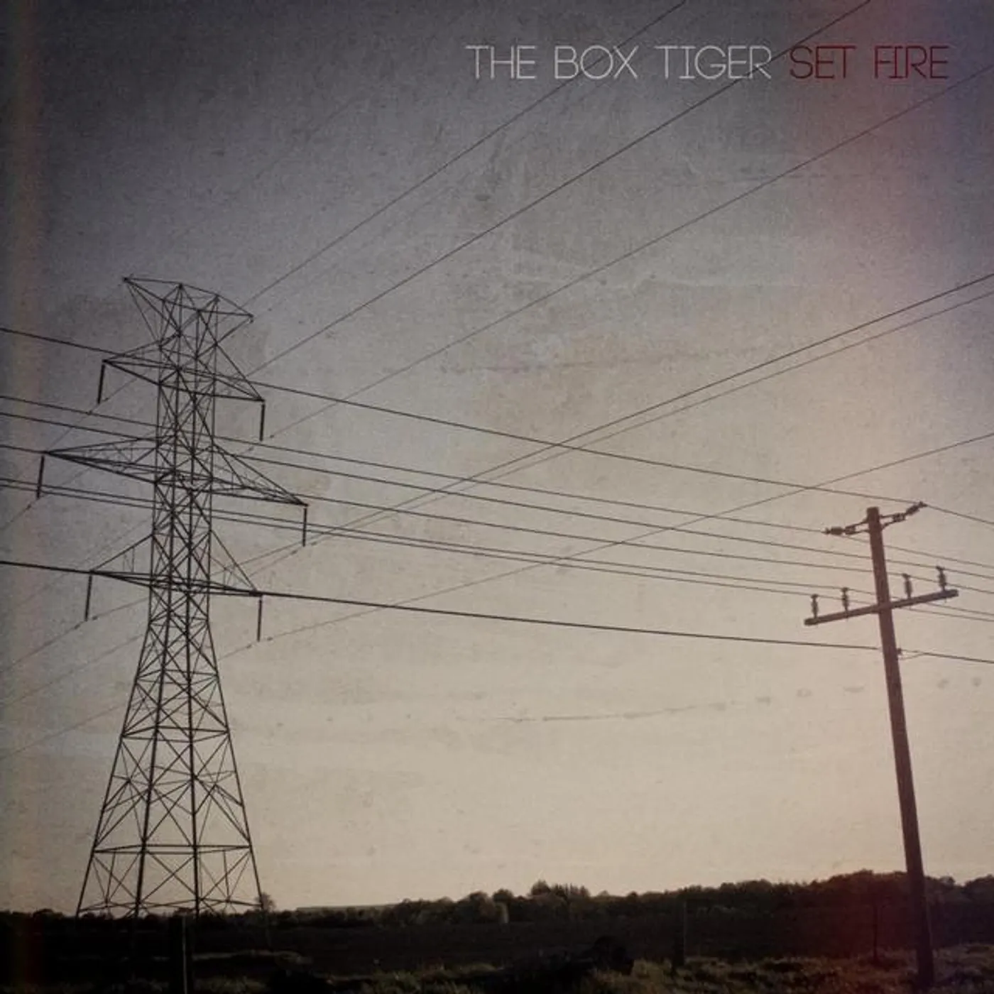 The Box Tiger