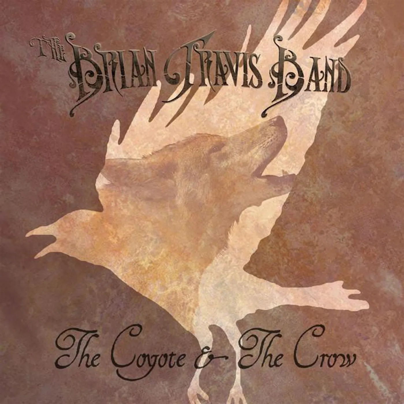 The Brian Travis Band Brand Page