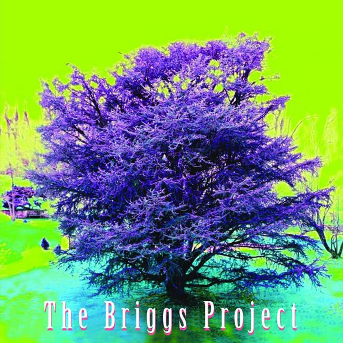 The Briggs Project Brand Page