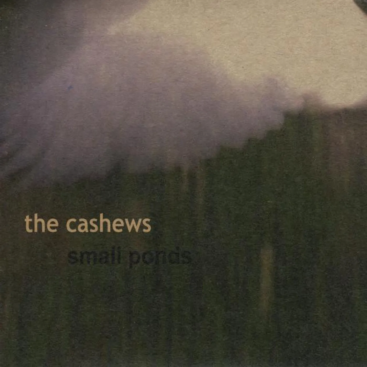 The Cashews