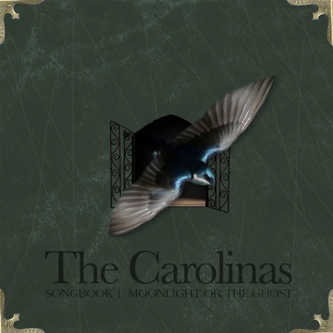 The Carolinas Brand Page