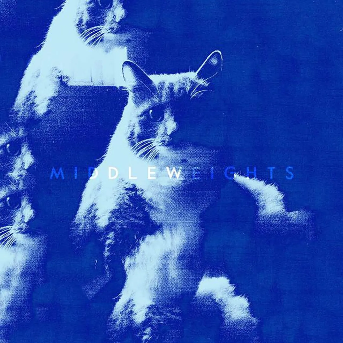 The Charming Youngsters