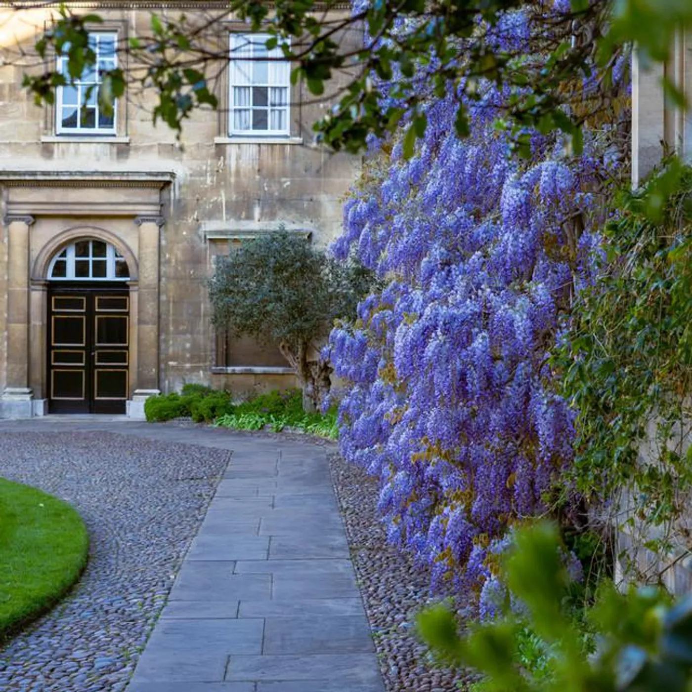 The Choir of Christ's College, Cambridge Brand Page