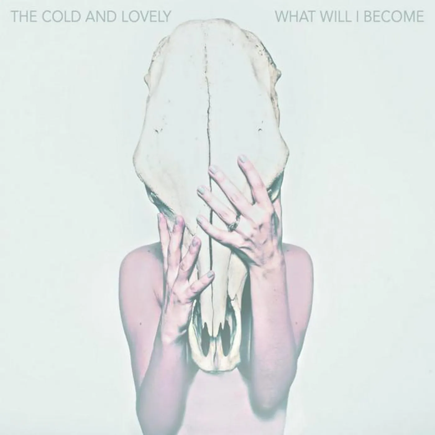 The Cold and Lovely Brand Page