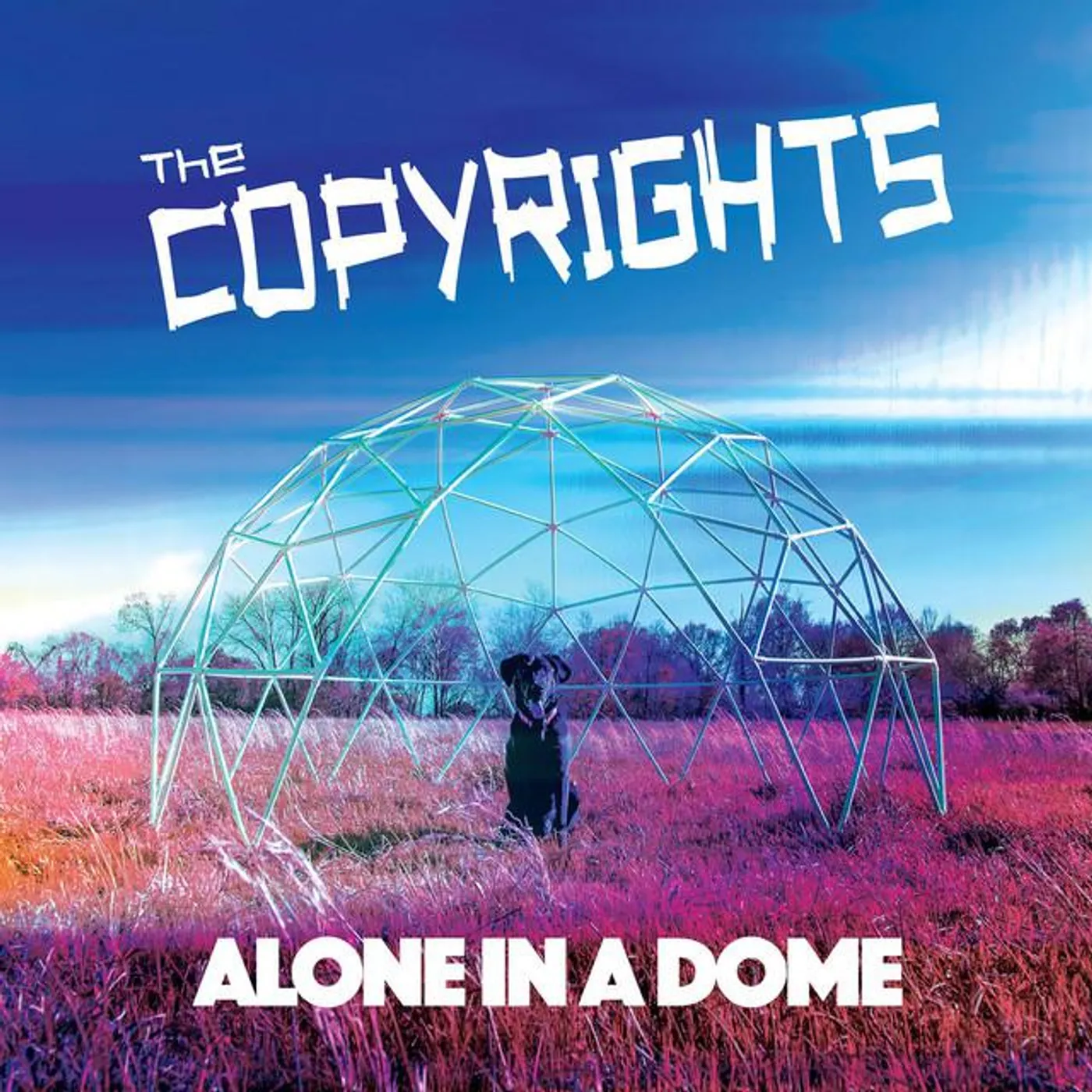 The Copyrights Brand Page
