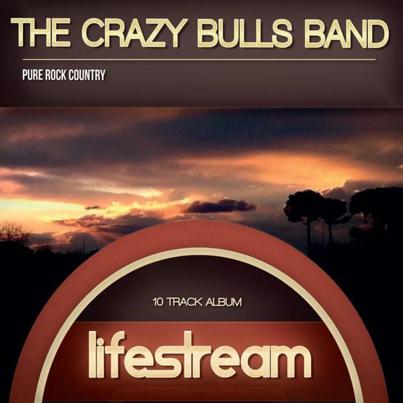 The Crazy Bulls Band Brand Page