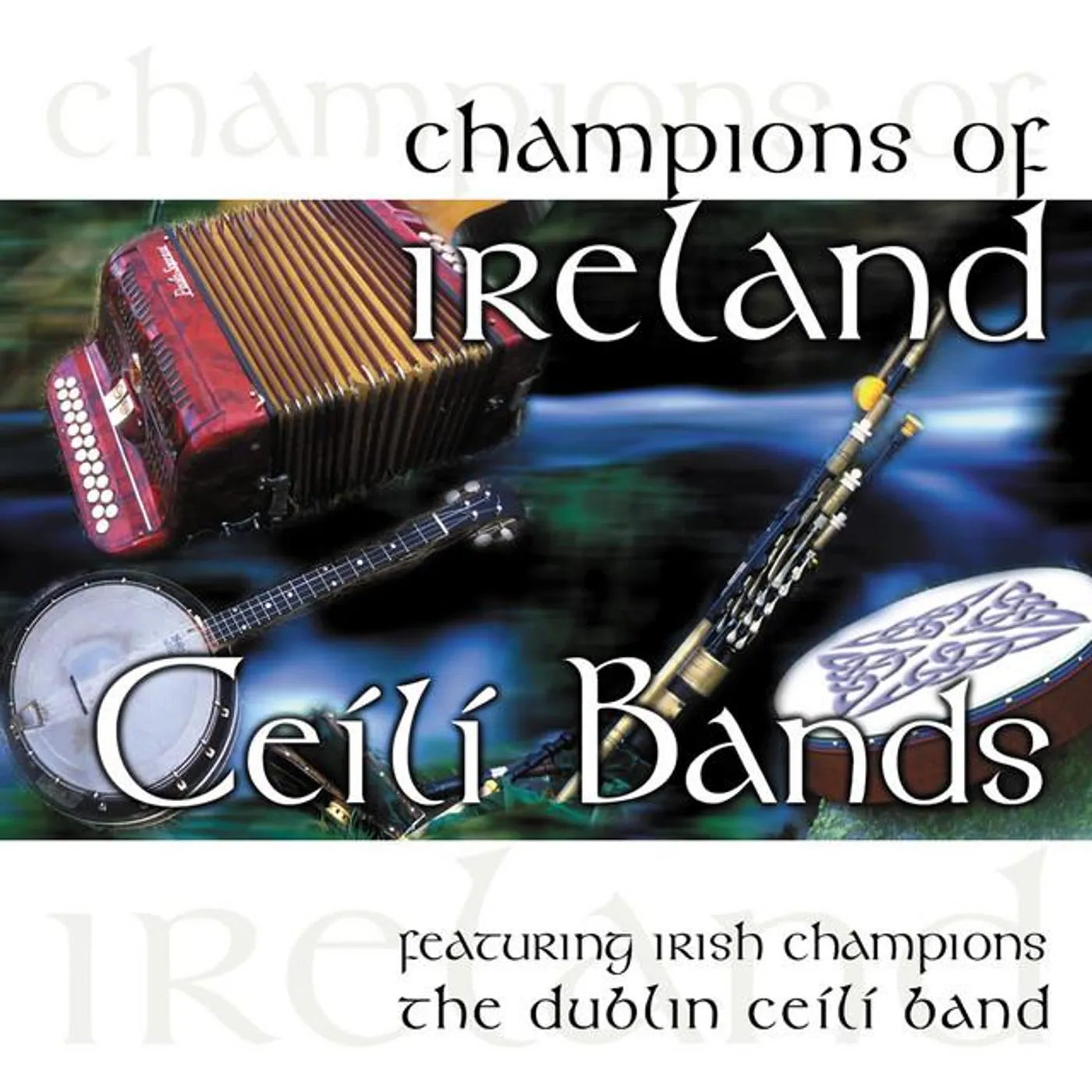 The Dublin Ceili Band