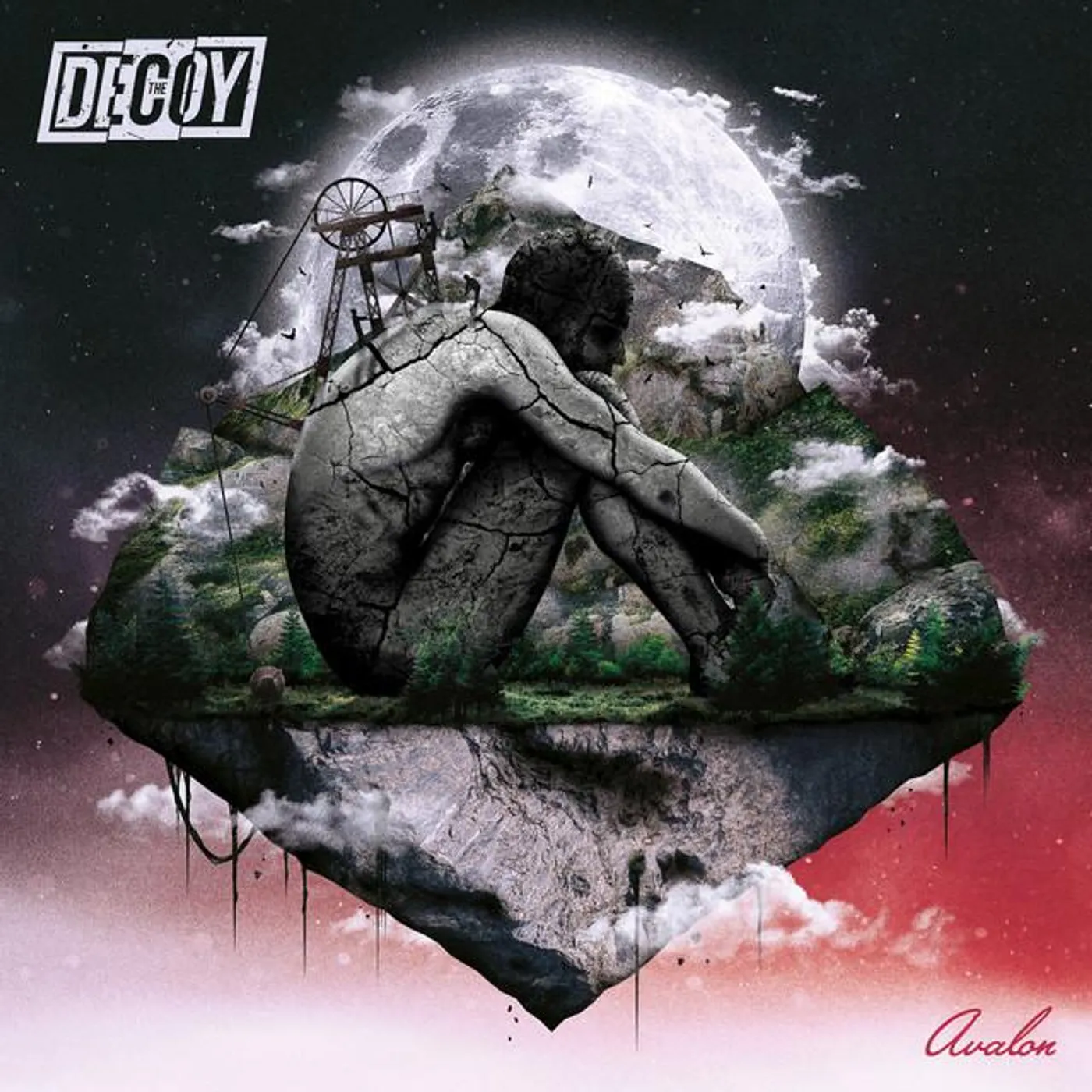 The Decoy
