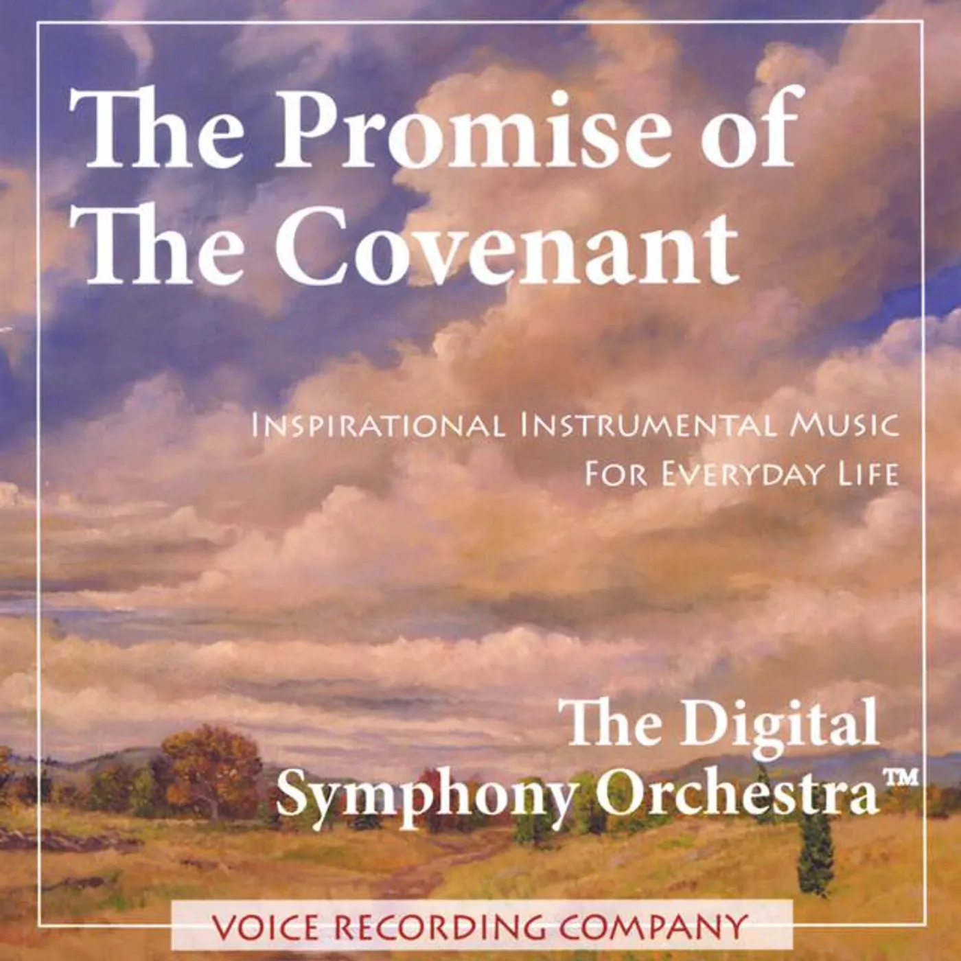 The Digital Symphony Orchestra Brand Page