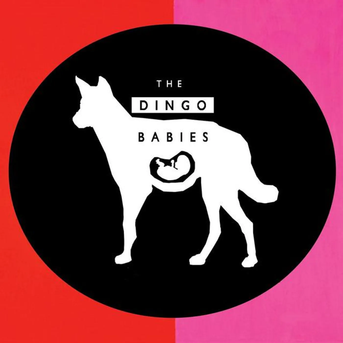 The Dingo Babies