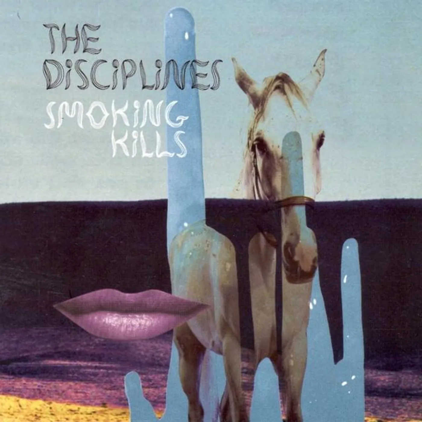 The Disciplines