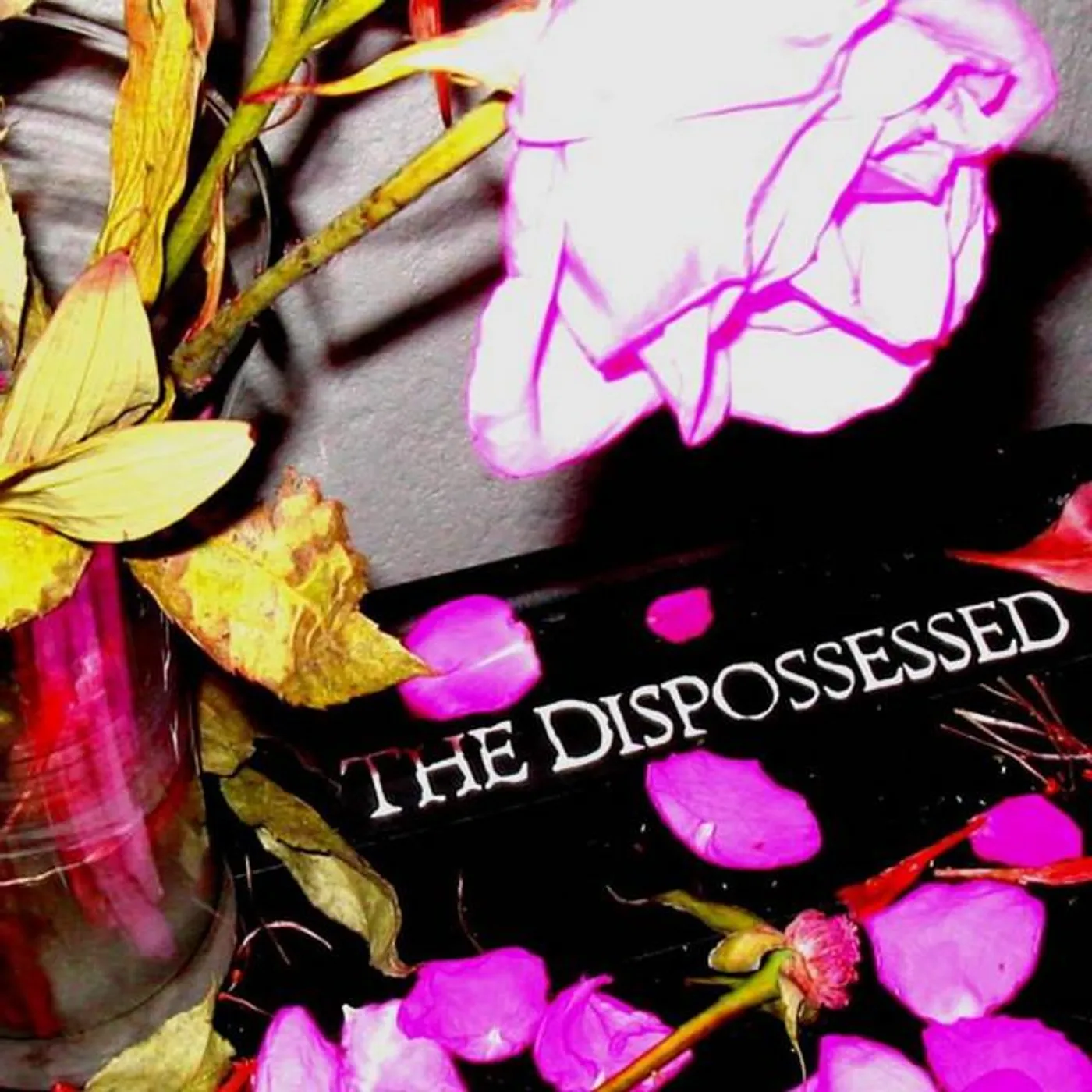 The Dispossessed