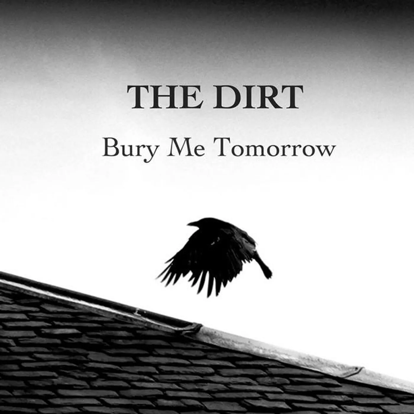 The Dirt