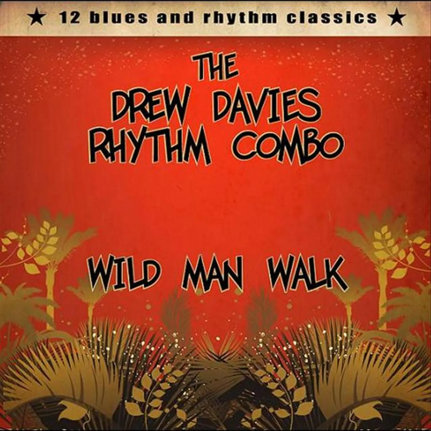 The Drew Davies Rhythm Combo