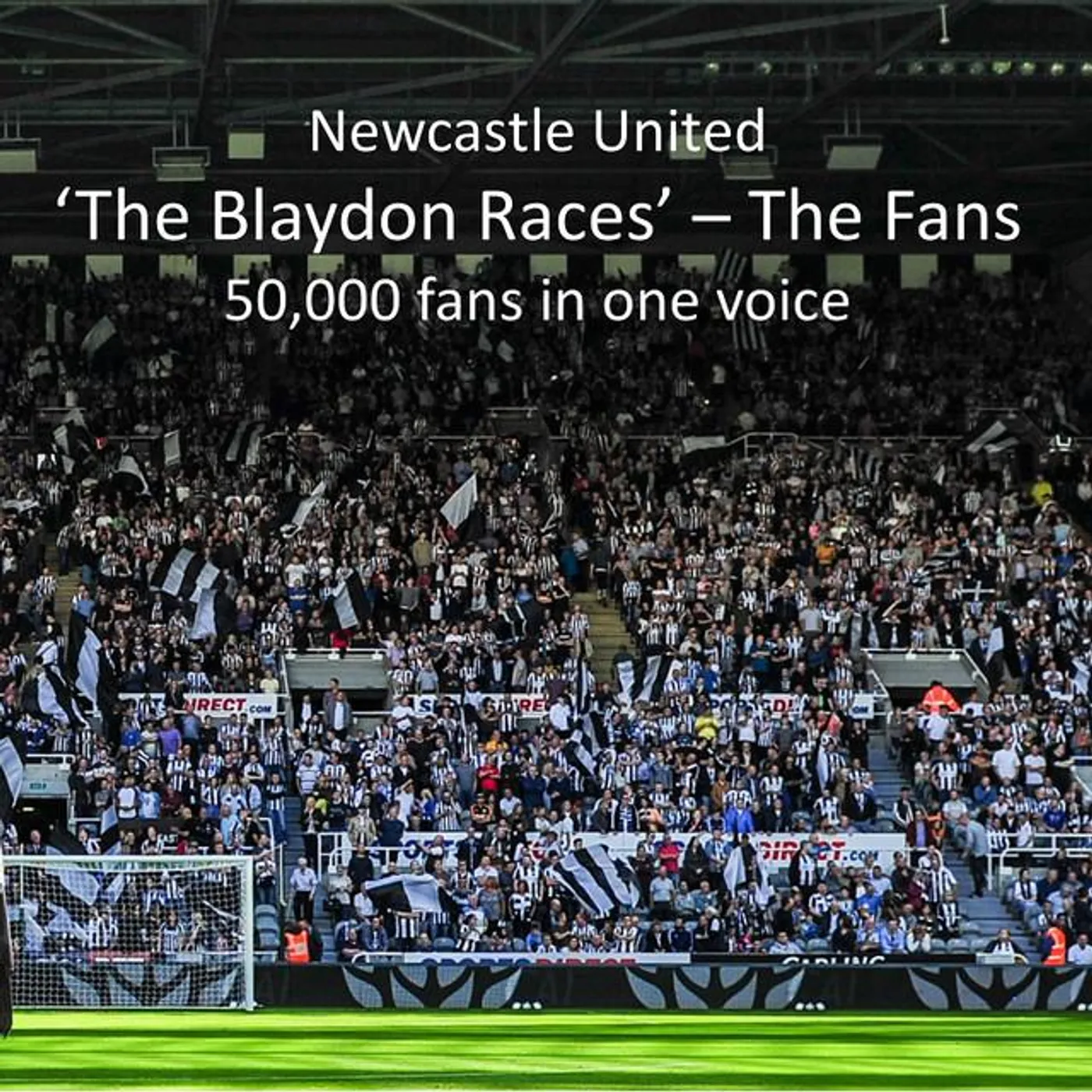 The Fans (N.U.F.C.)