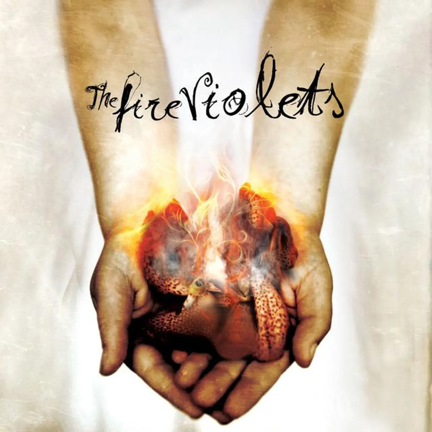 The Fire Violets Brand Page