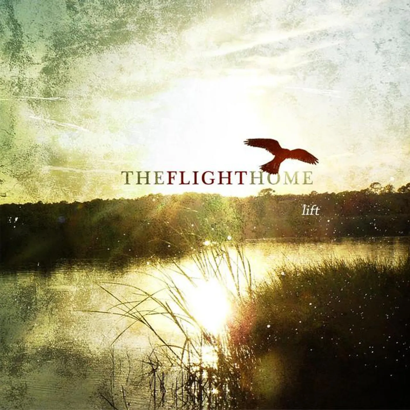 The Flight Home