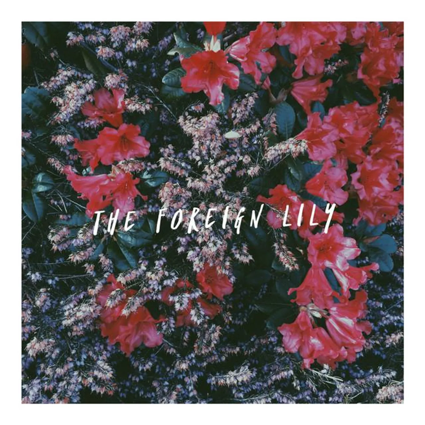 The Foreign Lily