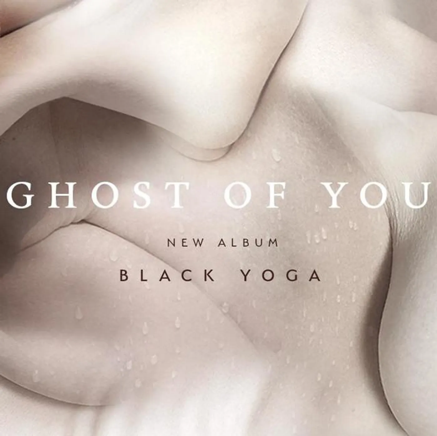 The Ghost of You