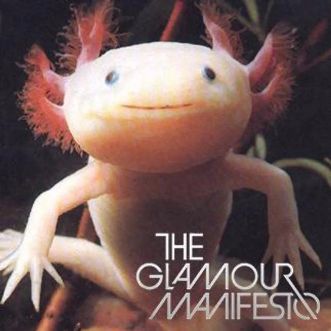 The Glamour Manifesto
